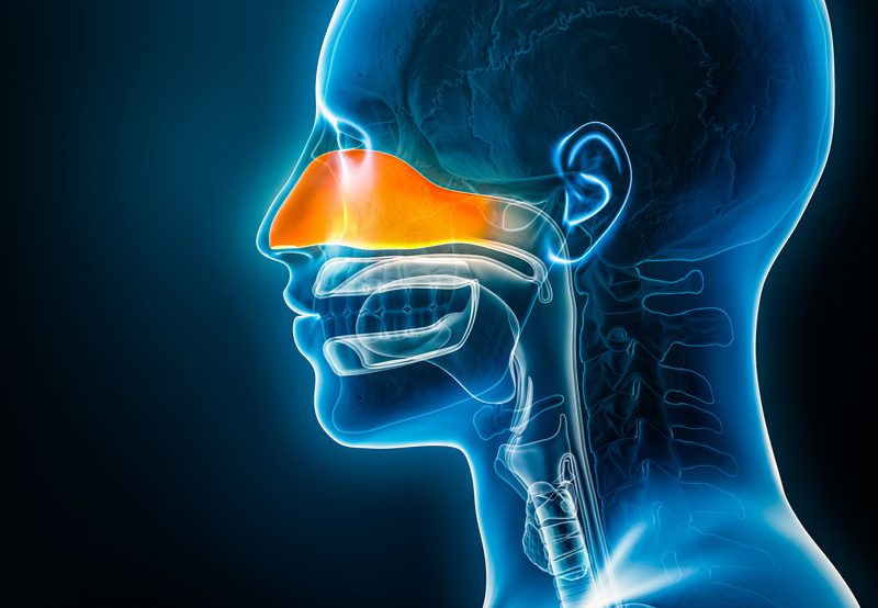 chronic-sinusitis-ent-doctor-comprehensive-otolaryngology